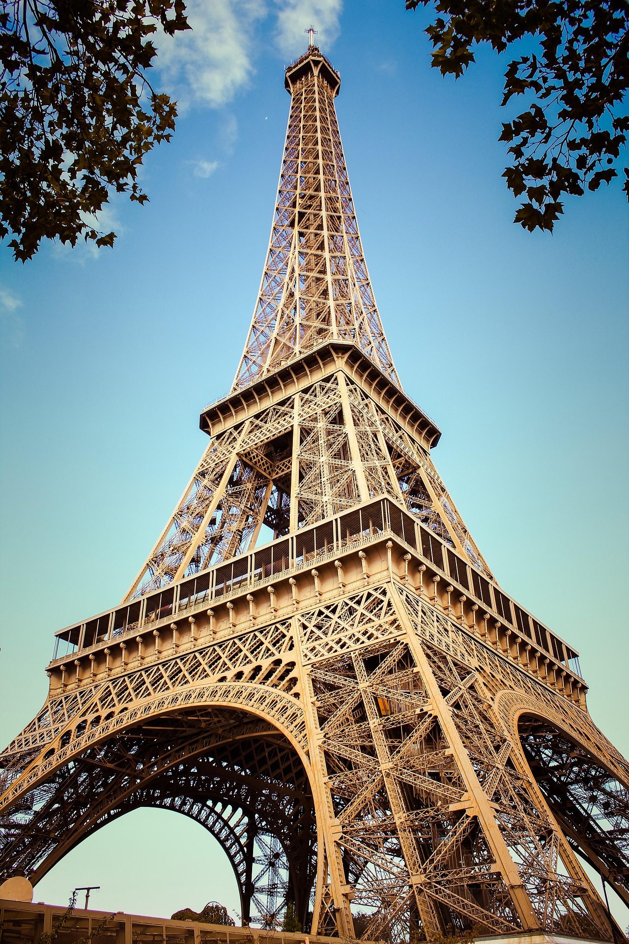 Tour Eiffel vue en contre-plongée à travers les arbres, Paris - Cabinet Catherine Heng Yee Huynh, avocat en propriété intellectuelle